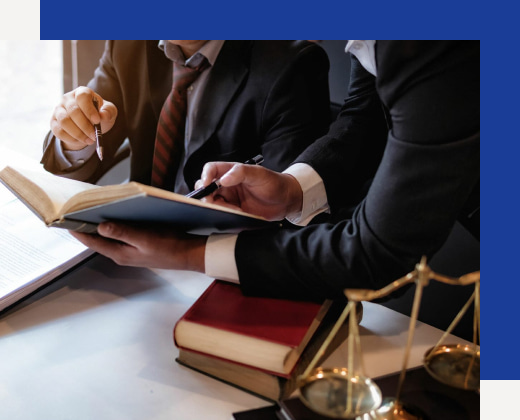 lawyer-specialists